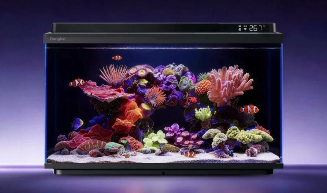 Dangbei, balık bakımını otomatikleştiren yapay zeka desteğine sahip Smart Fish