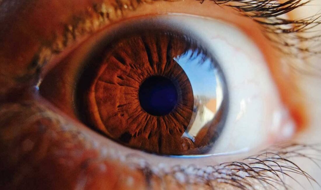 Bilim insanları, görme yetisini destekleyebilecek ve daha gelişmiş sinyal işleme