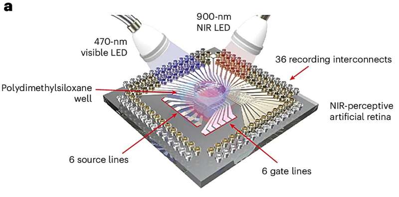 Yapay retina "akıllı özellikleri" ile öne çıkıyor