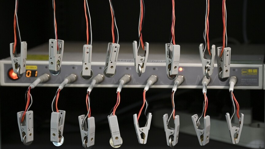 Dünyayı düşündüren lityum pil sorununa doğa dostu ekonomik çözüm Elektrikli araçlar ve taşınabilir elektronik cihazlarla birlikte hızla büyüyen lityum