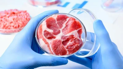 Avustralyalı girişim Vow, Singapur'da yılda tam 150 ton kültürlü sığır