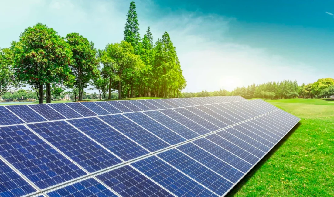 Google’dan tarihi güneş enerjisi hamlesi: 1.6 gigavatlık anlaşma imzalandı Google, Cypress Creek Renewables firmasıyla tarihindeki en büyük güneş enerjisi
