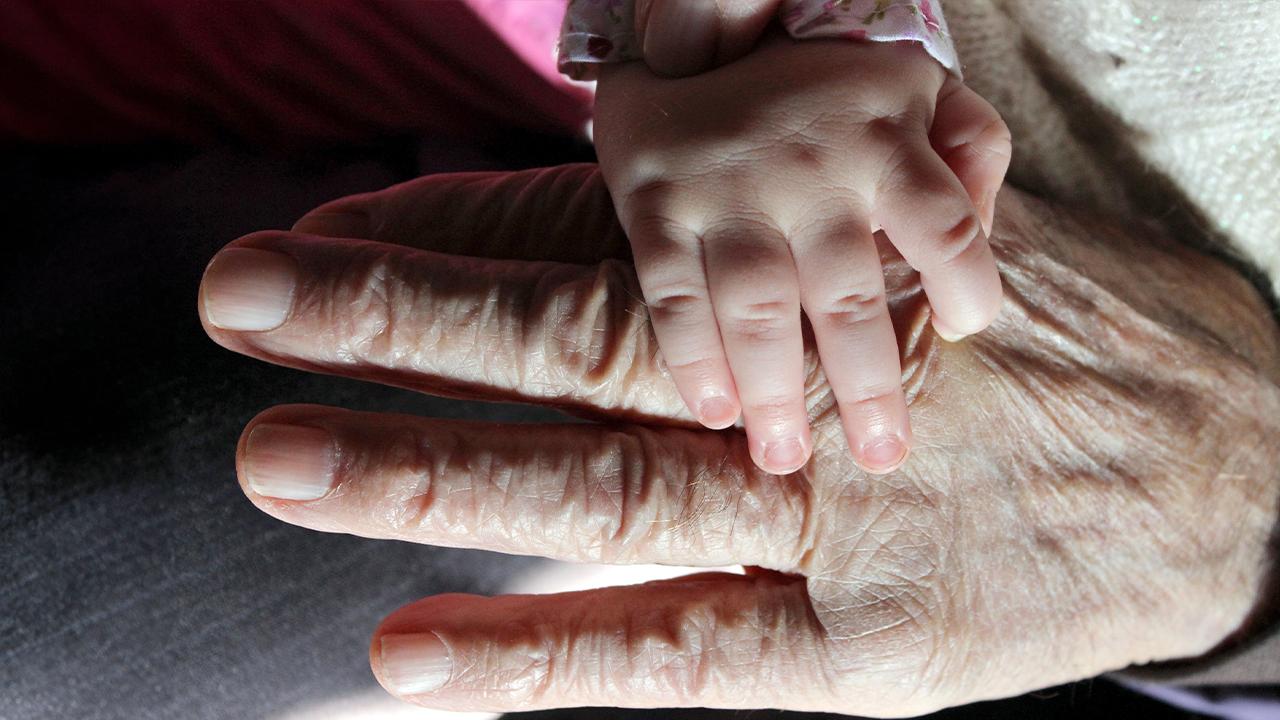 Biyoteknoloji şirketi Gero ve ekibinin yaptığı karmaşık biyofiziksel hesaplamalar, insan